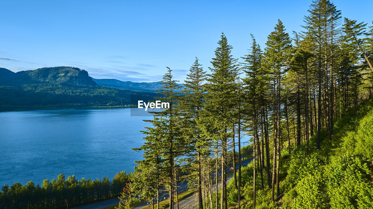 scenic view of lake by trees against sky