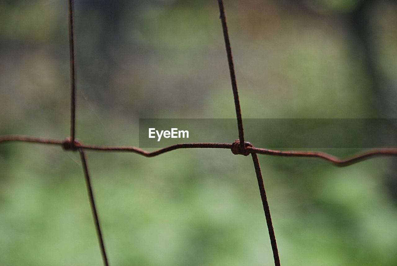 Close-up of barbed wire fence