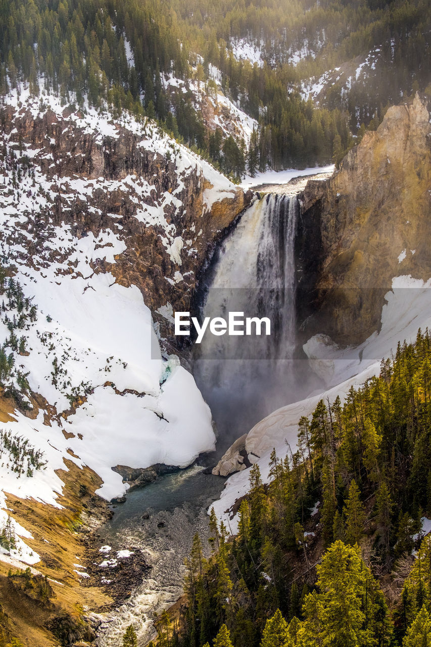 SCENIC VIEW OF WATERFALL AMIDST TREES