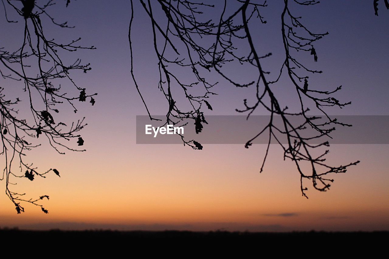 SILHOUETTE OF BIRDS FLYING AGAINST SKY
