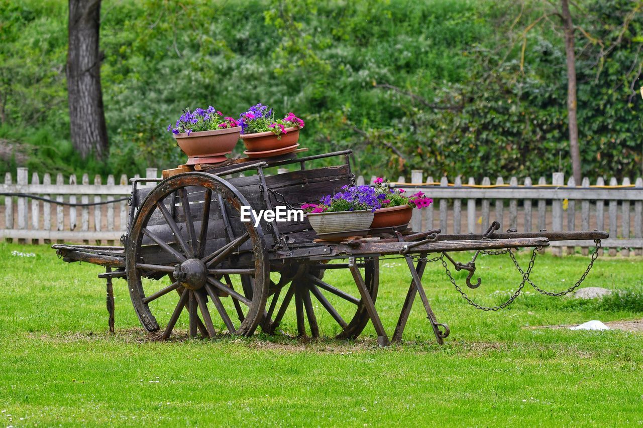 Wooden wagon wheel by plants on field