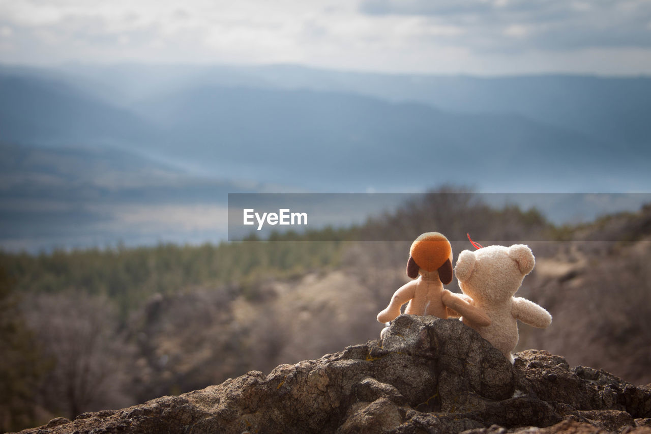 Stuffed toys overlooking countryside landscape
