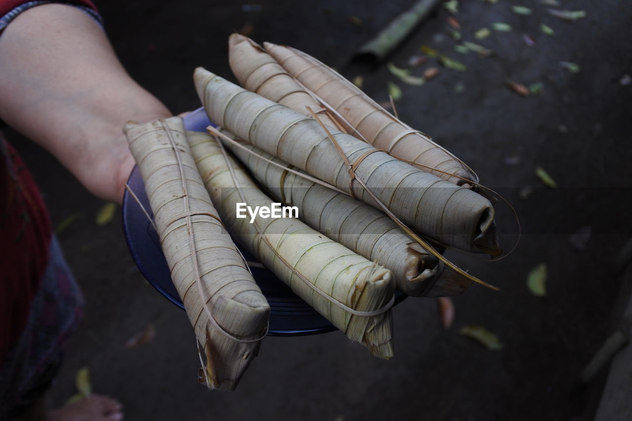 Cropped hand holding wrapped food in plate