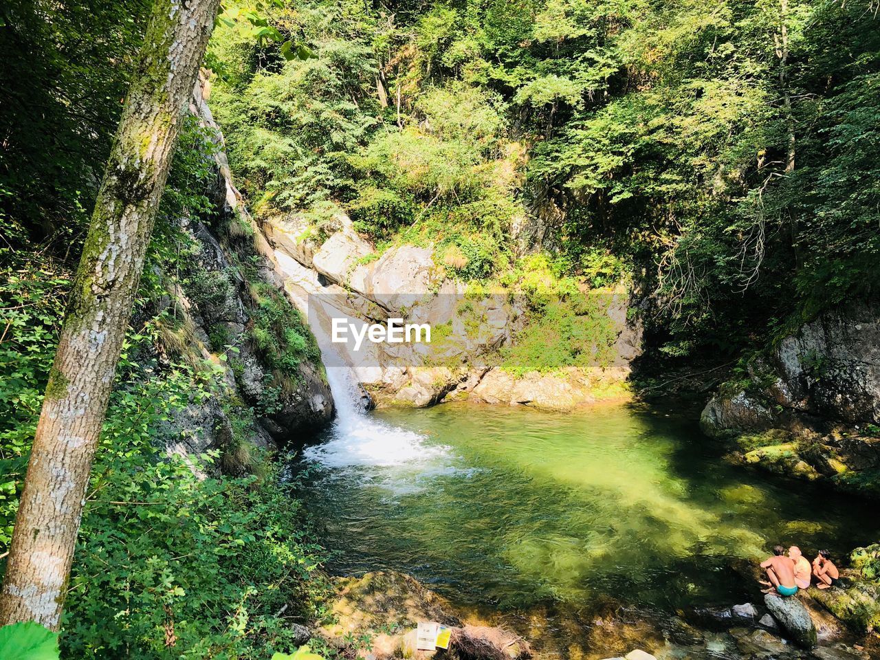 HIGH ANGLE VIEW OF WATERFALL AMIDST TREES