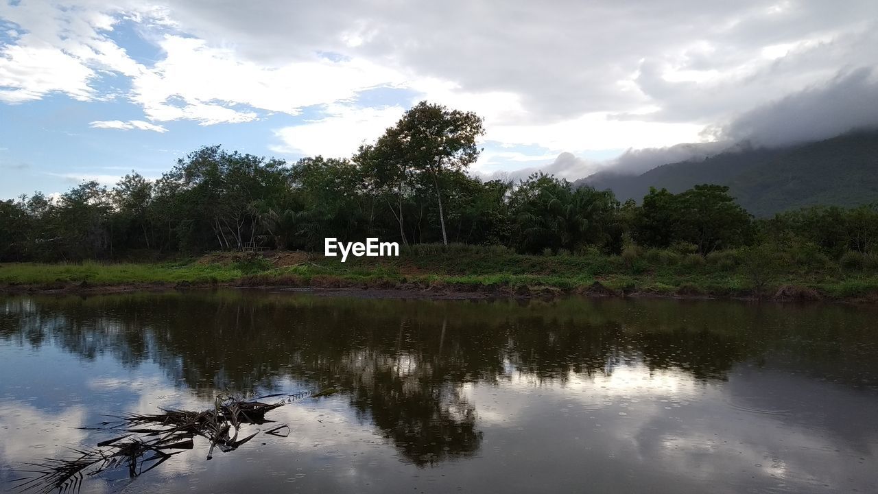 TREES BY LAKE AGAINST SKY