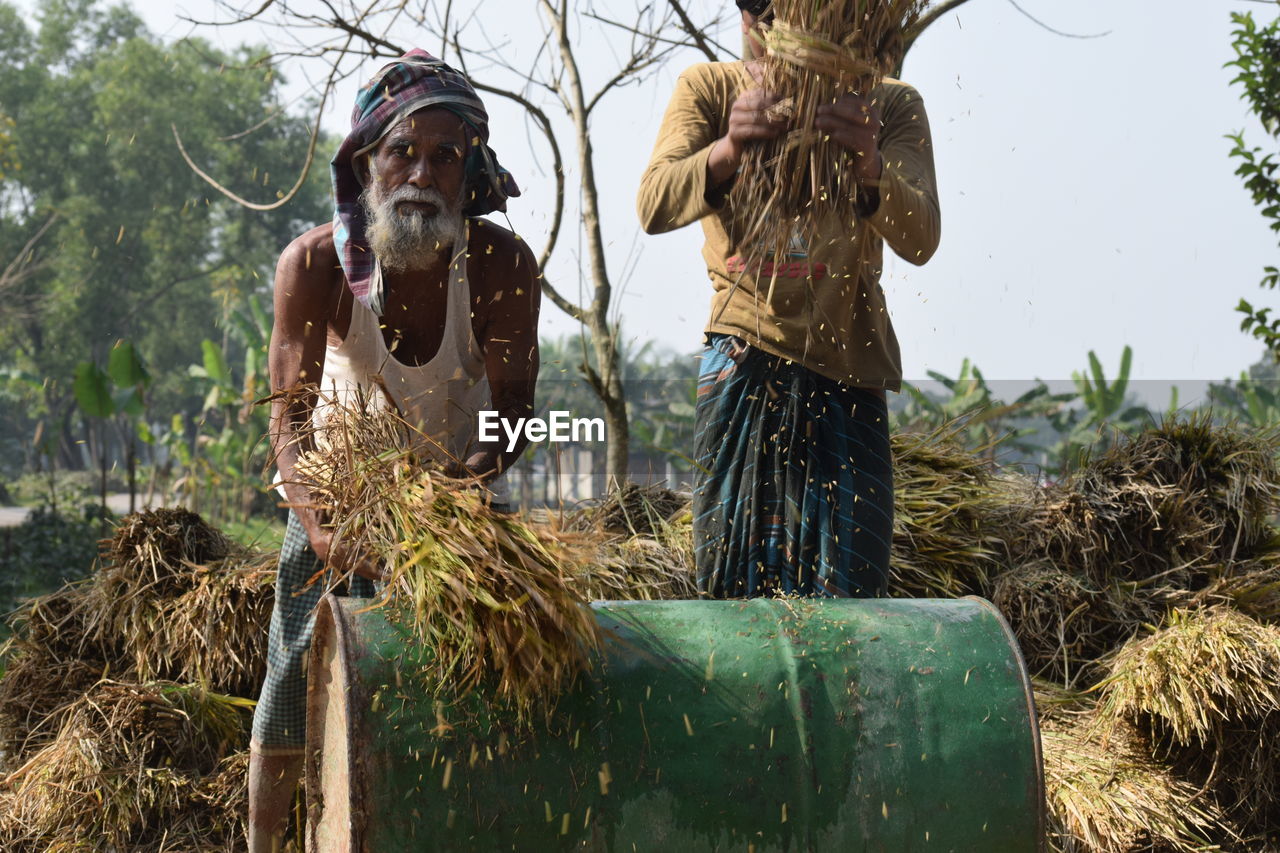 Farmers working at farm