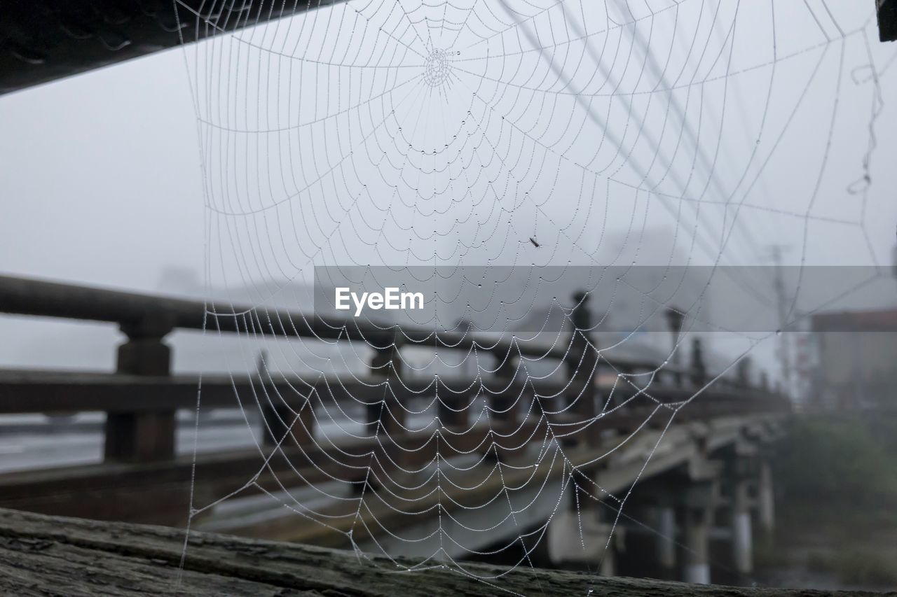 Spider web by bridge during foggy weather