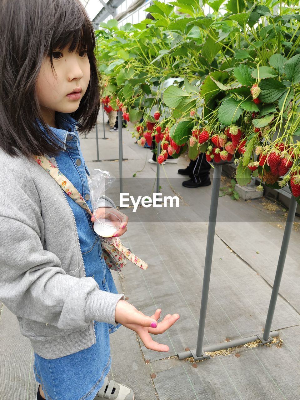 Side view of girl standing by strawberry plants
