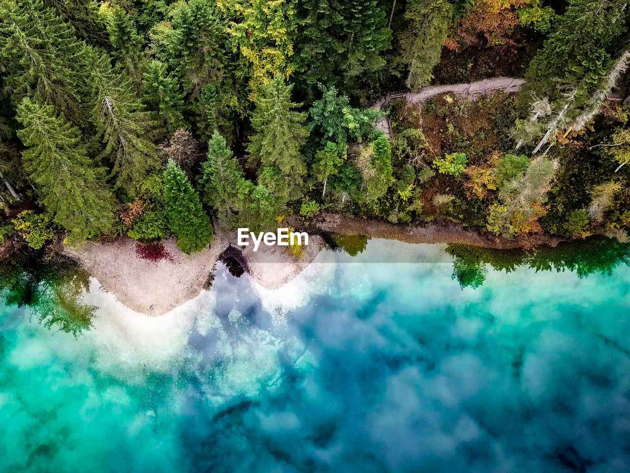 Aerial view of lake by forest