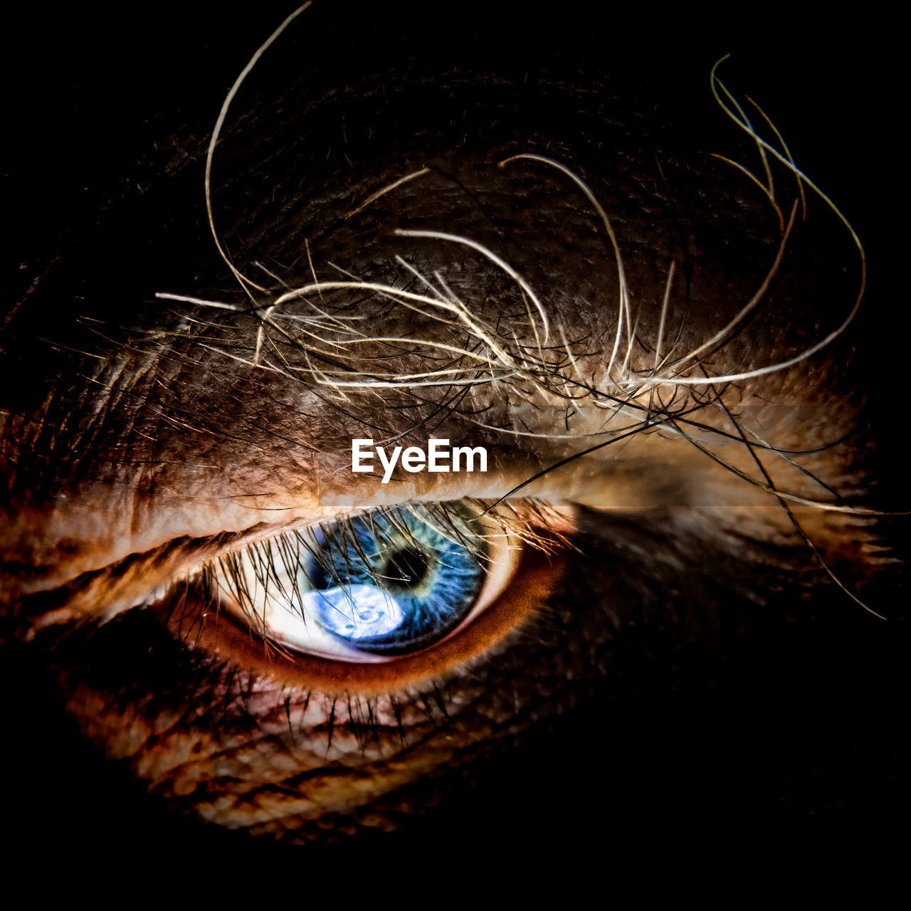 CLOSE-UP OF EYE