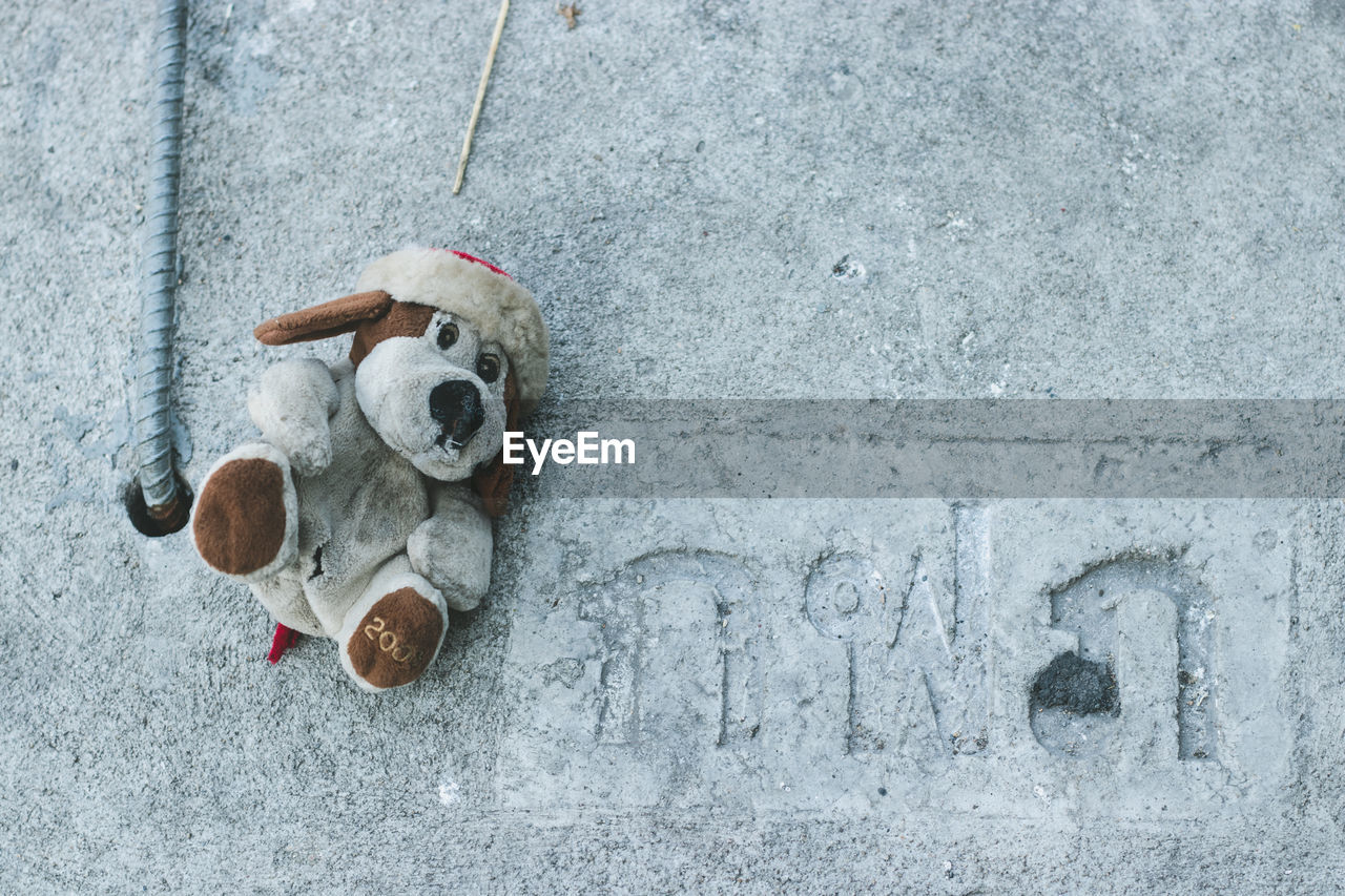 Directly above shot of ice toy on wall