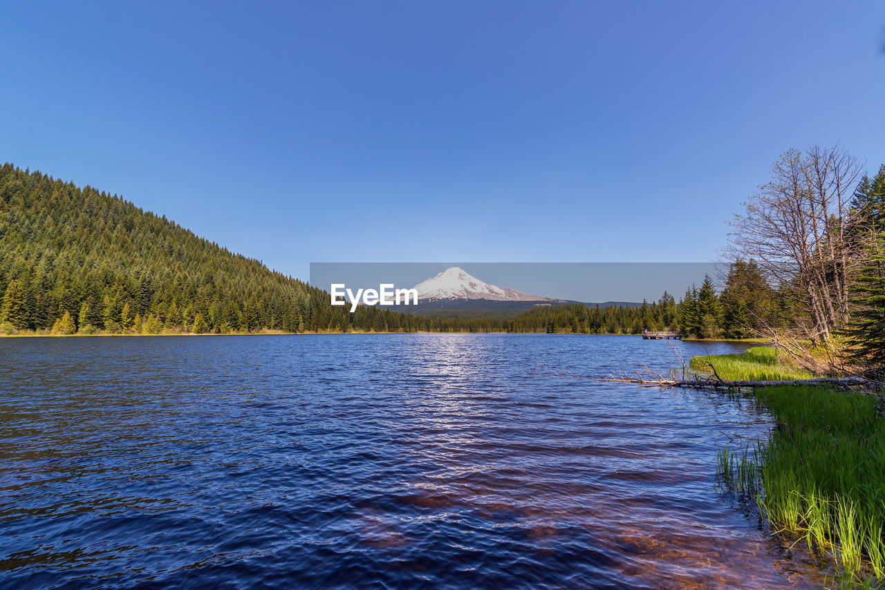 Scenic view of lake against clear blue sky