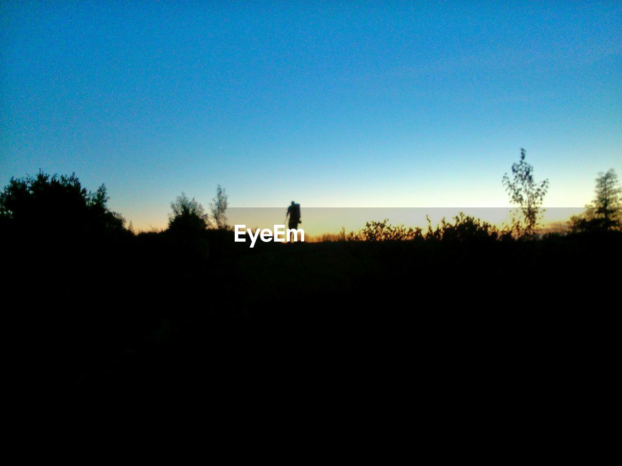 SILHOUETTE OF TREES ON LANDSCAPE AT SUNSET