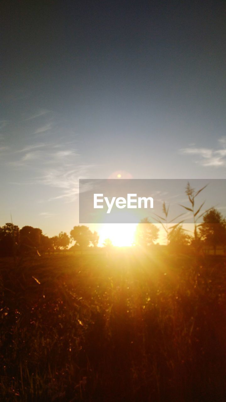 SCENIC VIEW OF SUNSET OVER FIELD