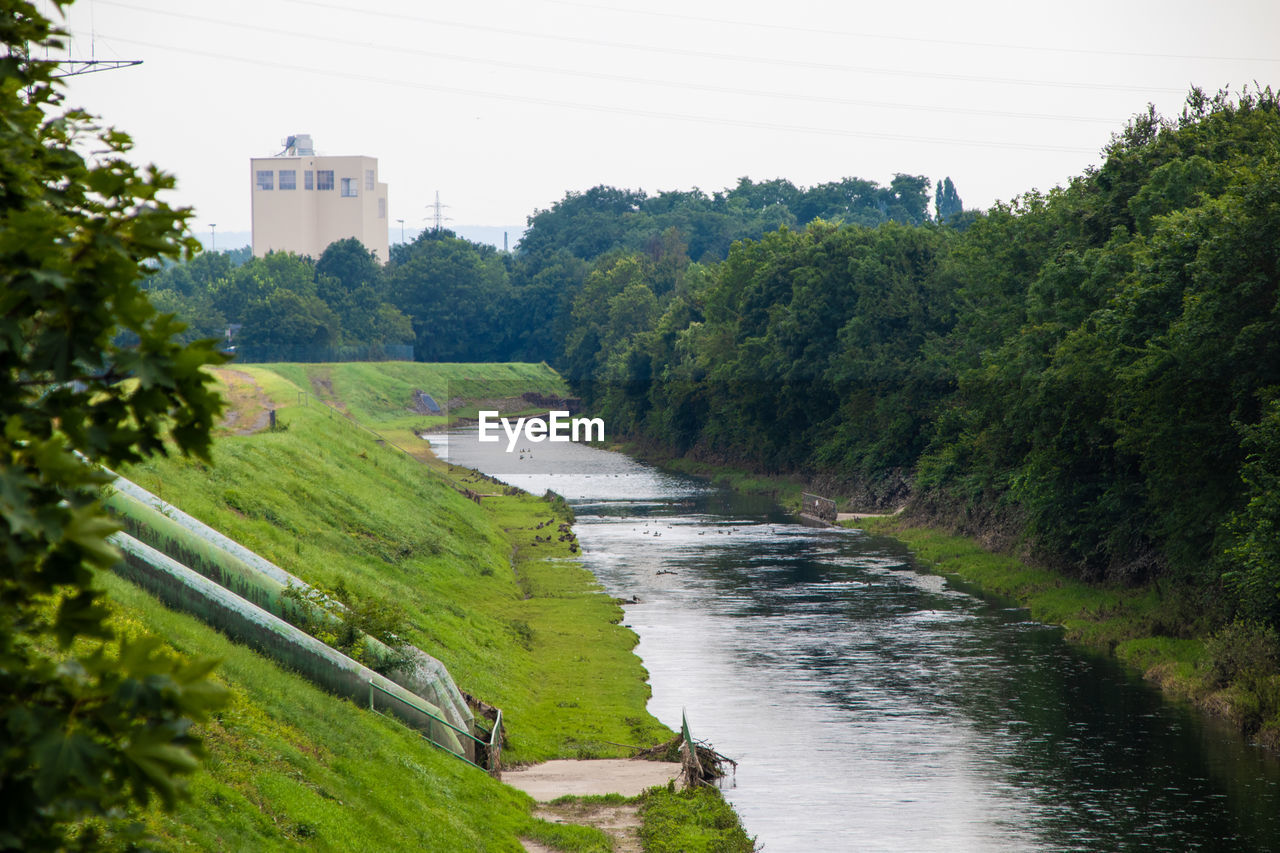 SCENIC VIEW OF RIVER FLOWING THROUGH TREES AGAINST SKY