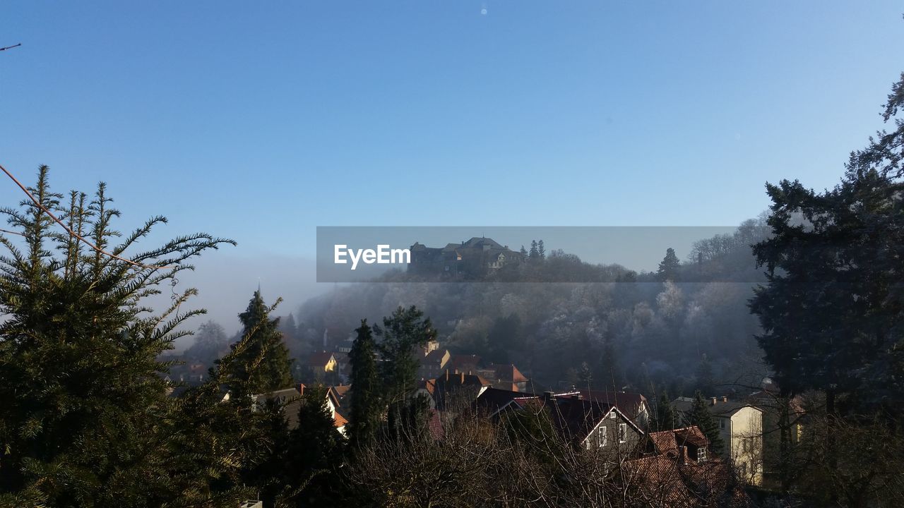 Panoramic view of trees and mountains against clear sky