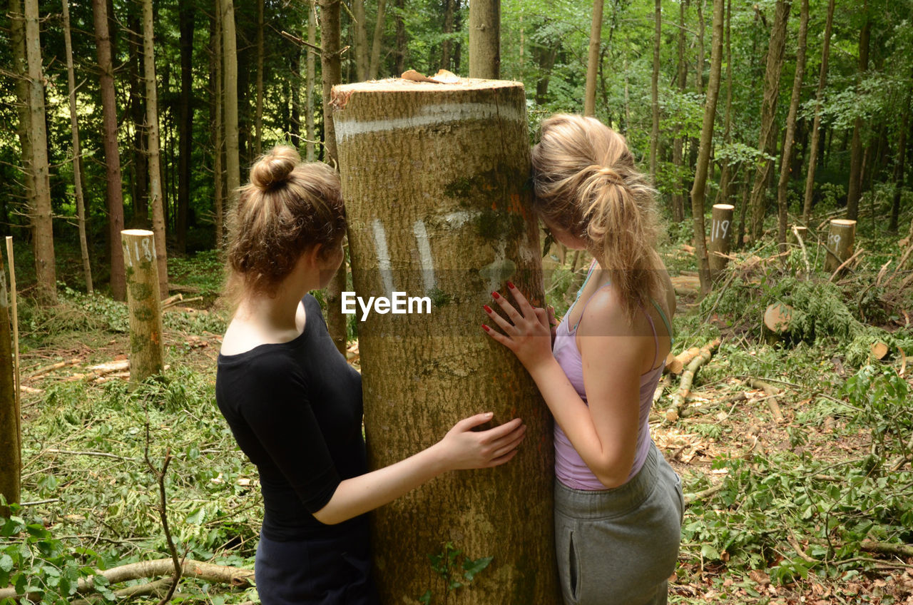 Rear view of friends standing by tree stump at forest