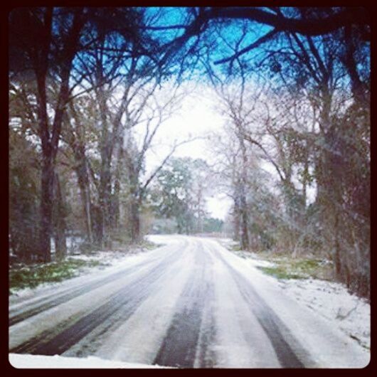 ROAD PASSING THROUGH TREES