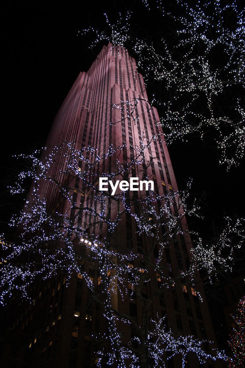 LOW ANGLE VIEW OF ILLUMINATED CHRISTMAS TREE