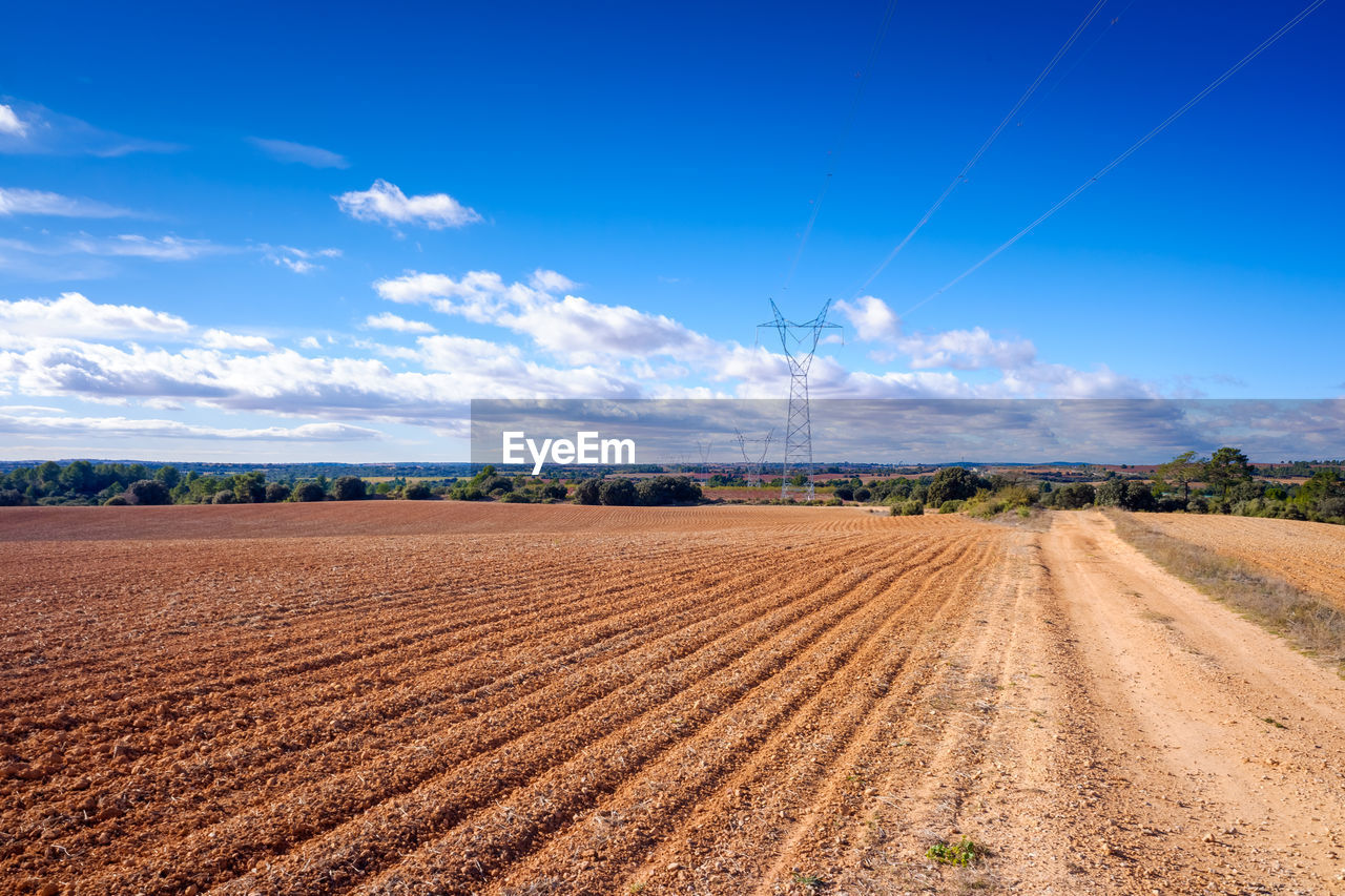 horizon, sky, field, landscape, environment, plain, land, agriculture, soil, cloud, nature, rural scene, prairie, blue, scenics - nature, rural area, grassland, crop, plant, no people, beauty in nature, farm, transportation, day, outdoors, tranquility, steppe, dirt, sunlight, cereal plant, road, tranquil scene, horizon over land, food, natural environment, travel, cloudscape, hill