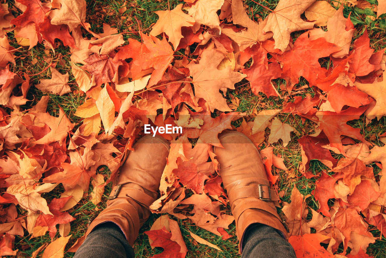 Low section of person standing on autumn leaves