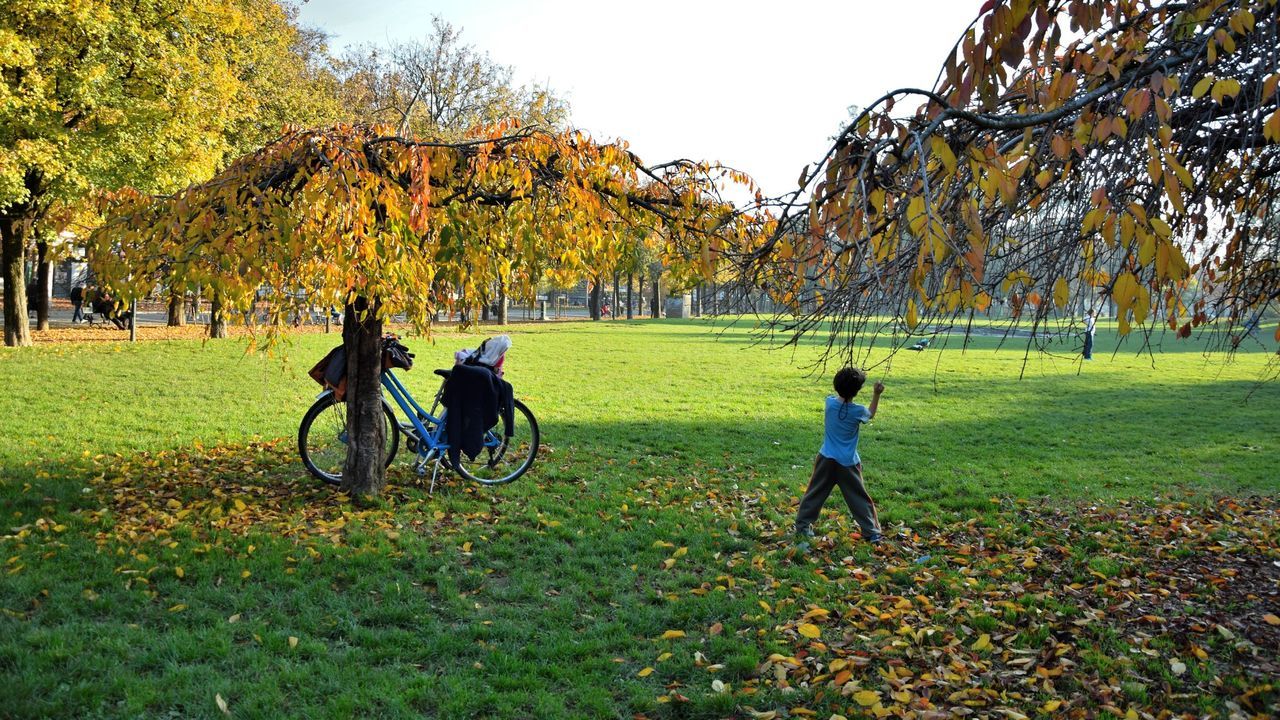 Rear view of boy playing on grassy field at park during autumn