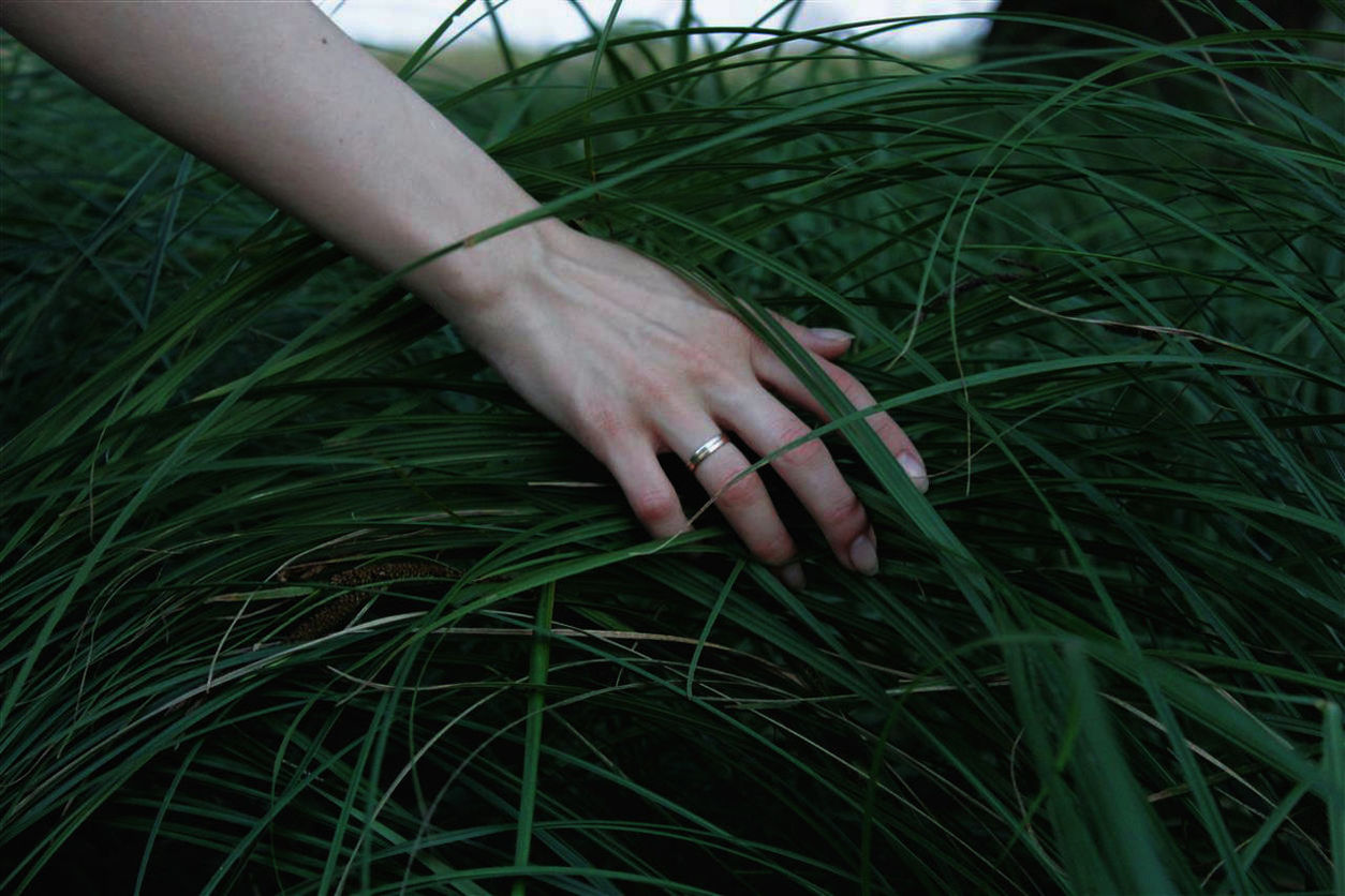 CLOSE-UP OF WOMAN HAND HOLDING GRASS IN FIELD