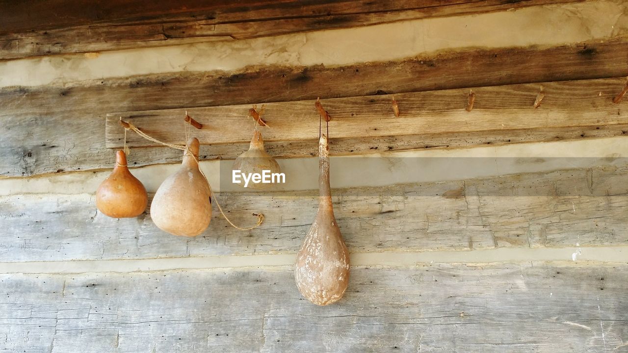 Dried squashes hanging from hooks on wooden wall