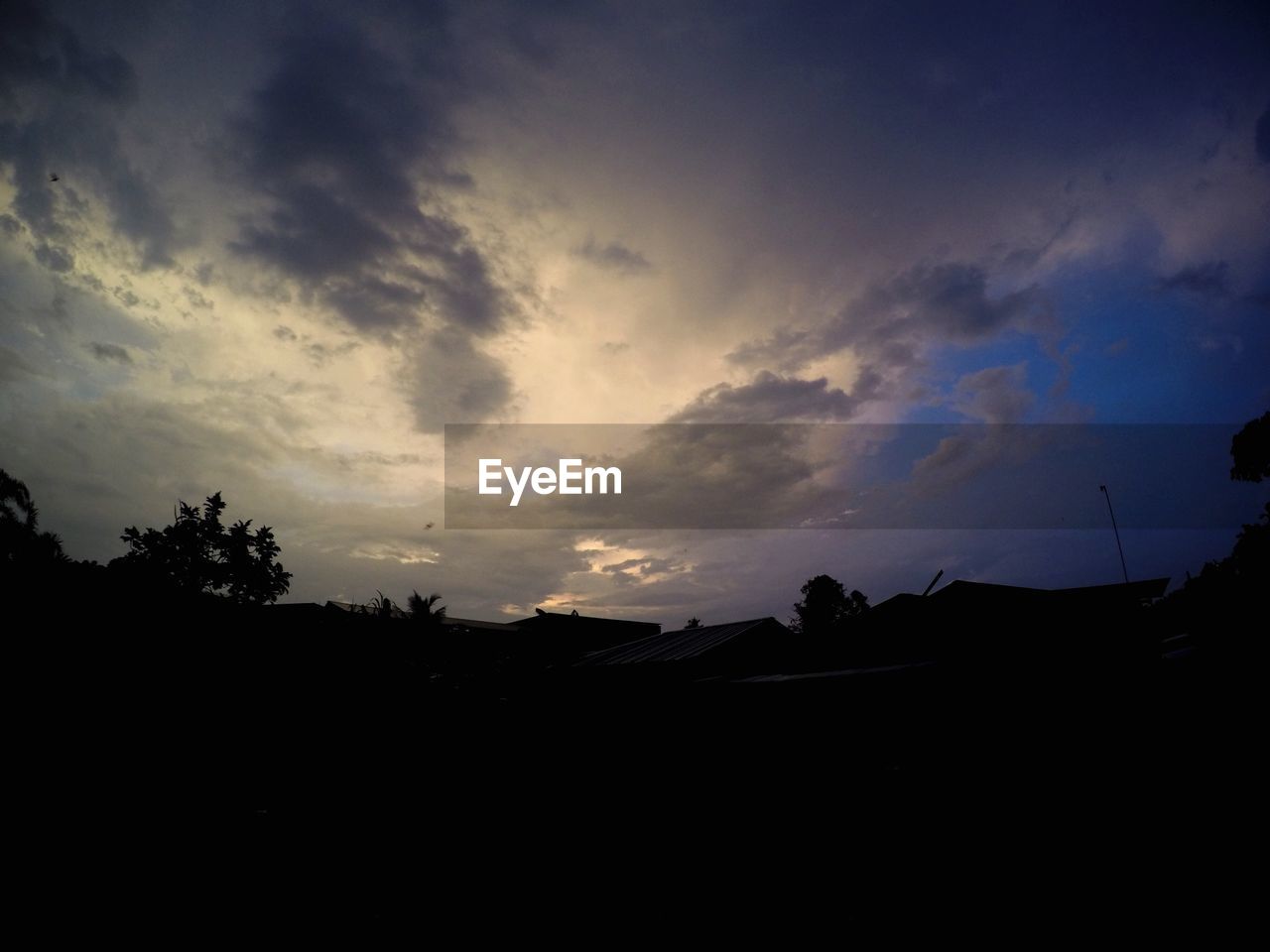 LOW ANGLE VIEW OF SILHOUETTE TREES AGAINST SKY