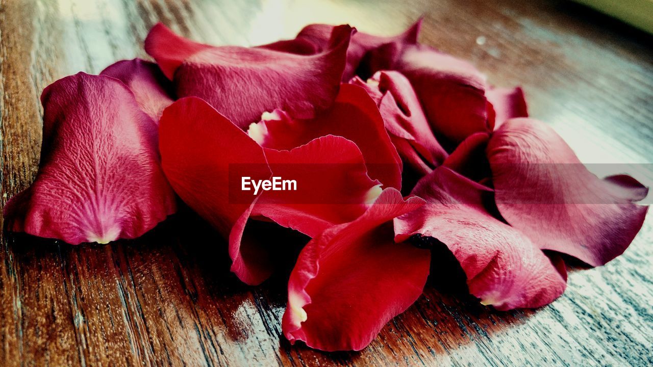 Close-up of rose petal on wooden table