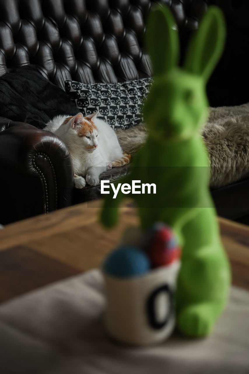 Easter bunny on table against cat sitting on sofa