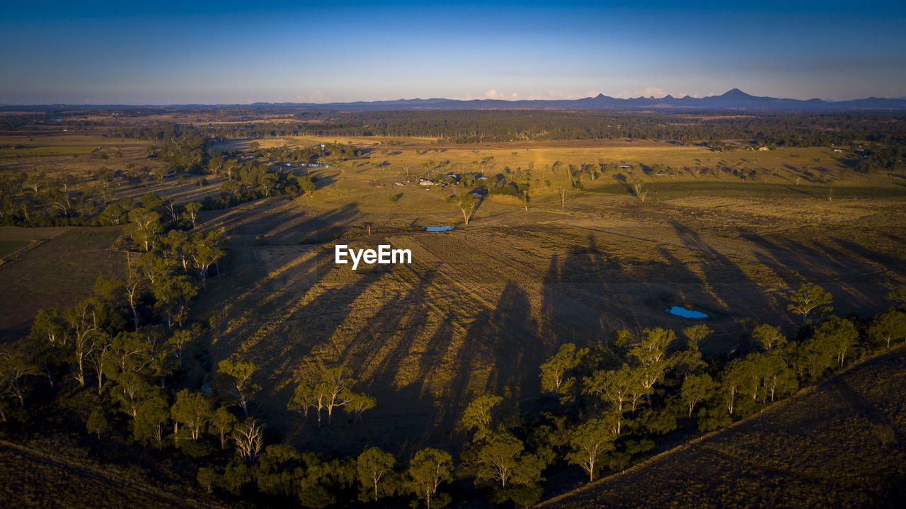 High angle view of trees on landscape against sky