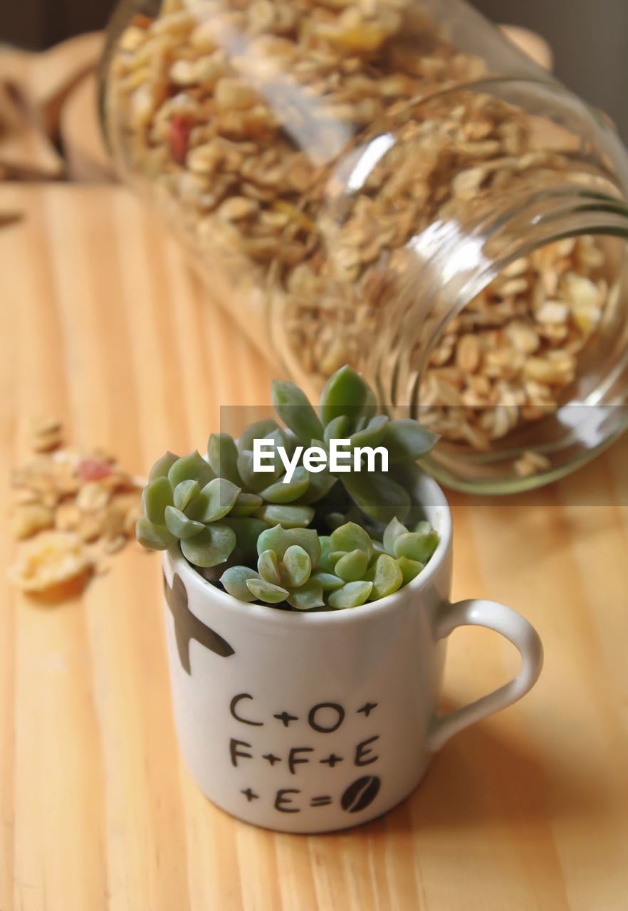 food and drink, food, healthy eating, indoors, produce, plant, wellbeing, no people, freshness, wood, vegetable, meal, container, dish, flower, nature, studio shot, close-up, seed, focus on foreground