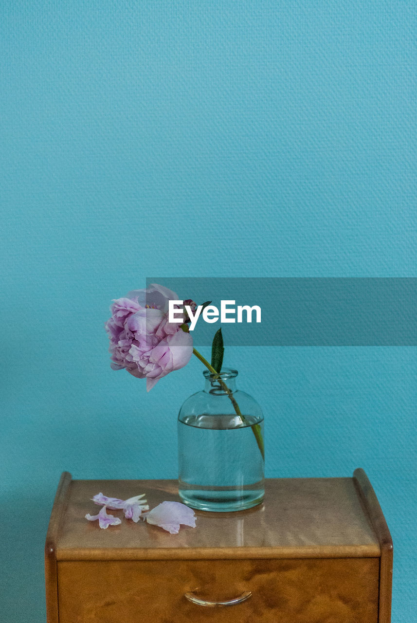 CLOSE-UP OF FLOWER ON TABLE AGAINST WALL