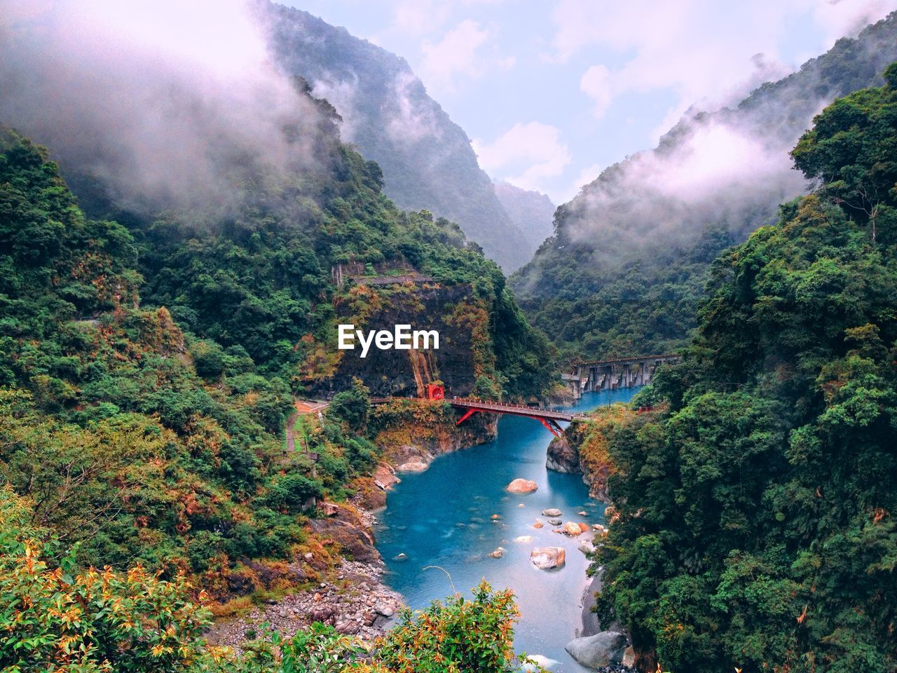 Scenic view of river amidst trees against sky