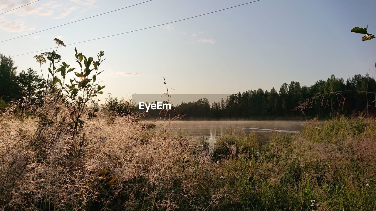 SCENIC VIEW OF LAND AGAINST SKY