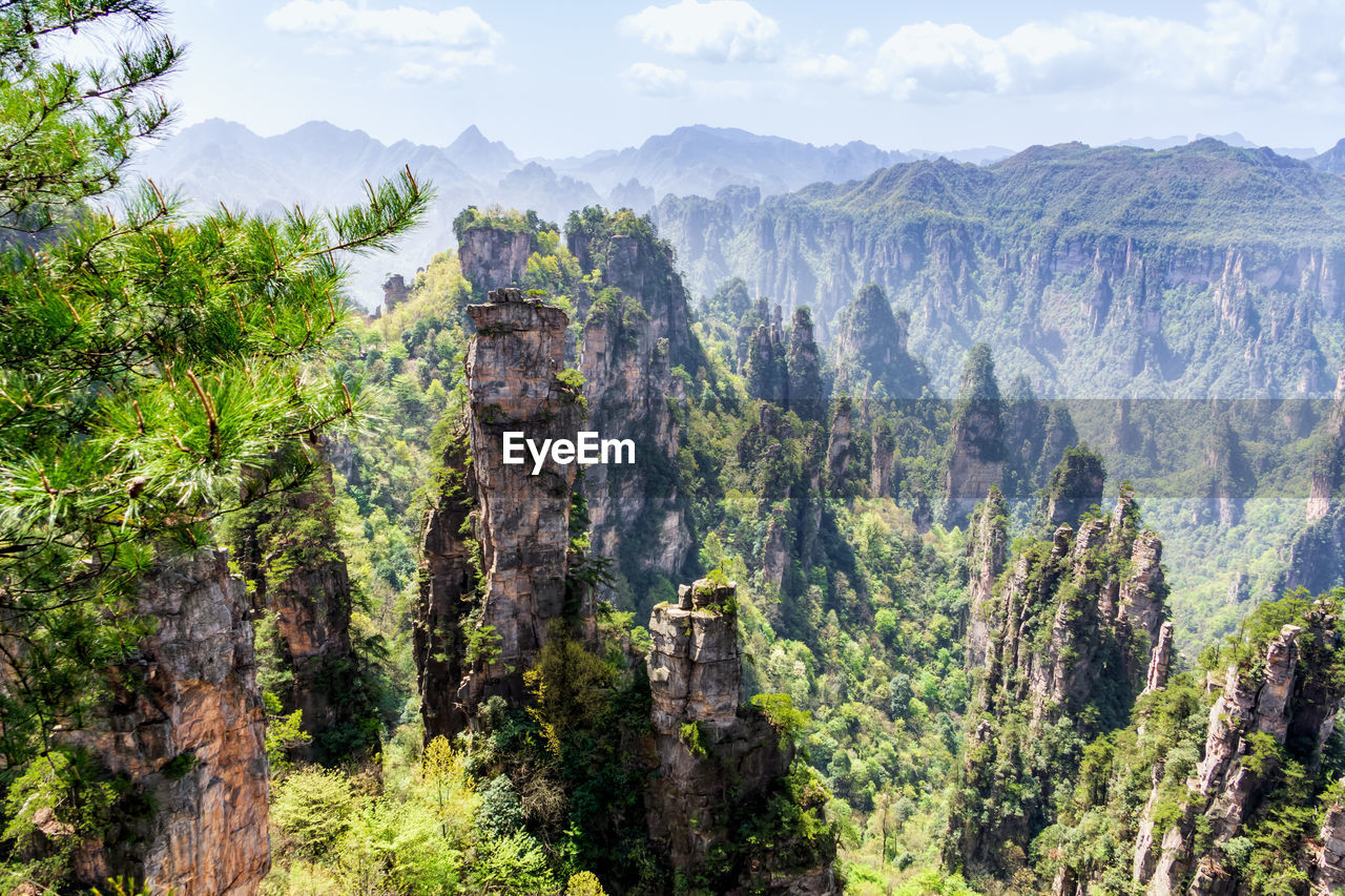 Panoramic view of trees and mountains against sky