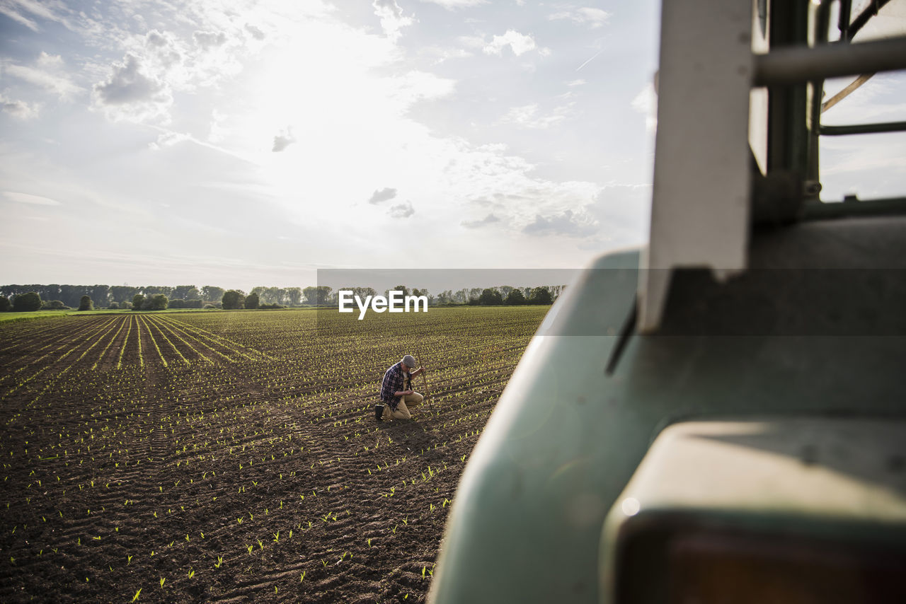 Farmer in a field examining crop