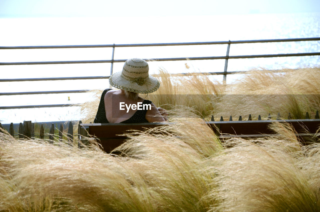 REAR VIEW OF MAN SITTING ON RAILING BY GRASS