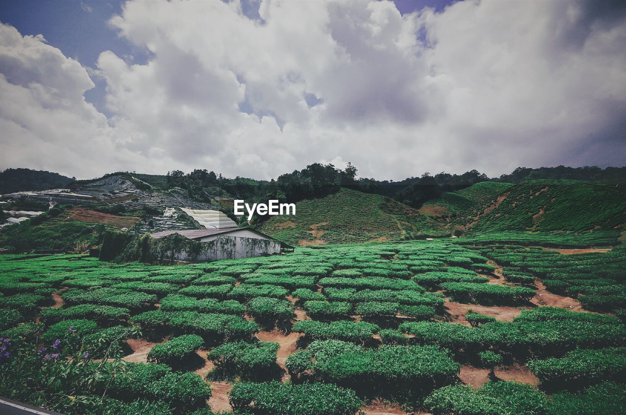 Scenic view of landscape against cloudy sky