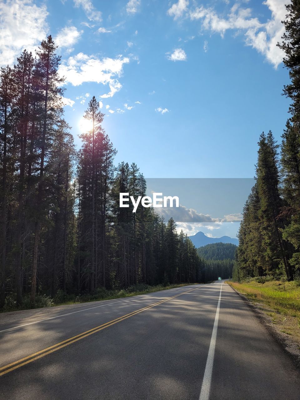 EMPTY ROAD ALONG TREES AND AGAINST SKY