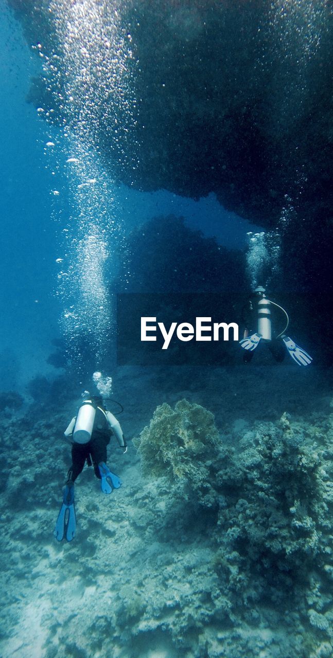 Scuba divers swimming in sea over corals