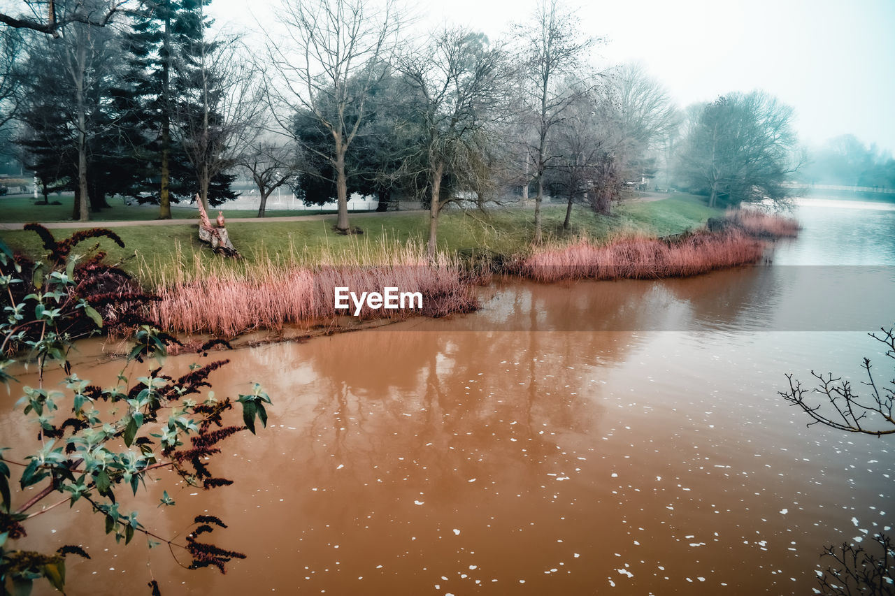 SCENIC VIEW OF LAKE AGAINST TREES