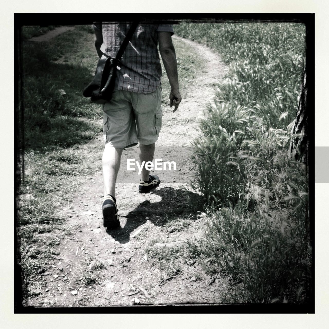 Rear view of man walking on pathway by plants