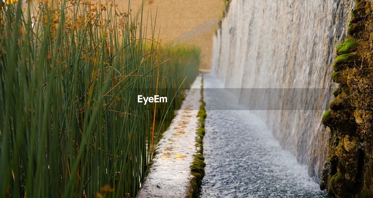 PANORAMIC VIEW OF FLOWING WATER ON LAND