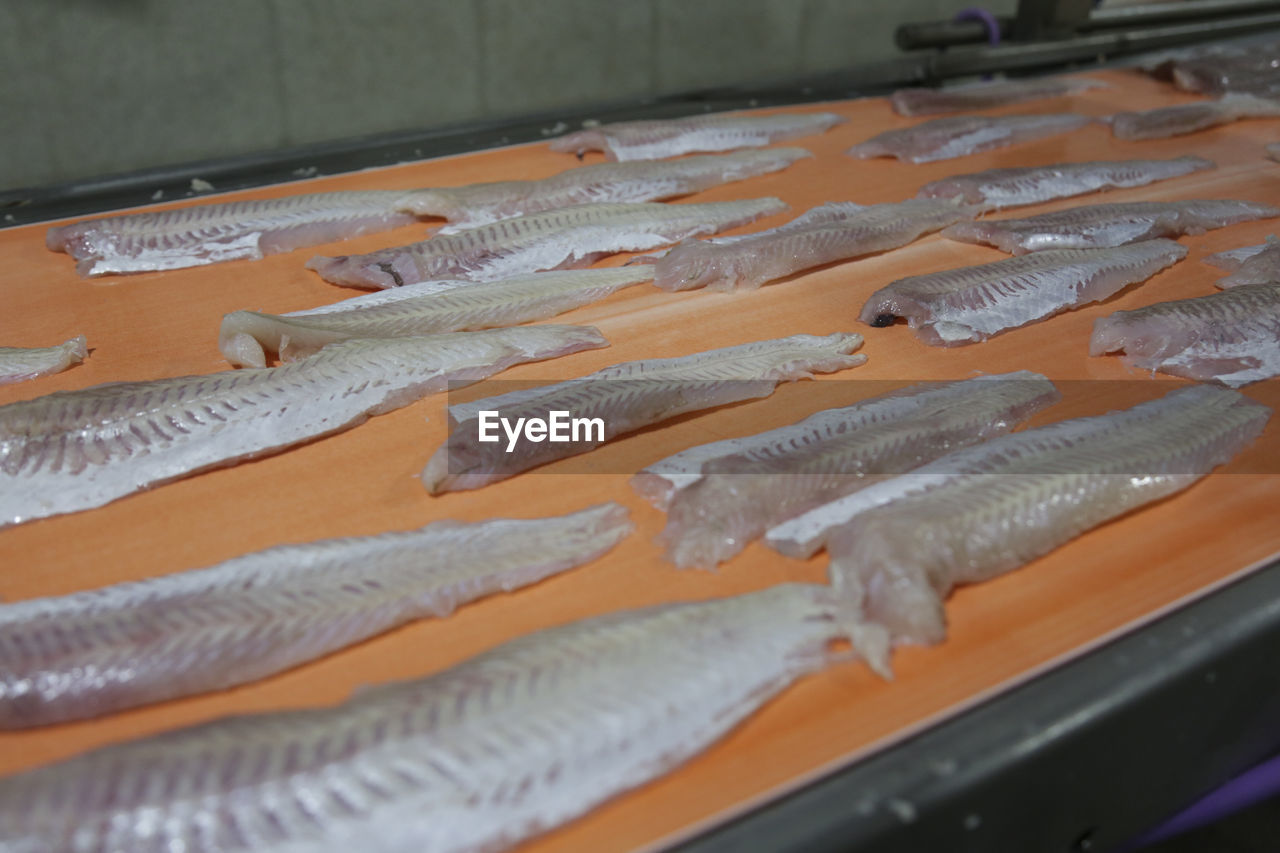 Hake fish. / merluza factory mar del plata, buenos aires argentina