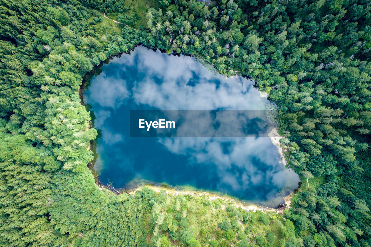 Aerial view of lake amidst trees in forest