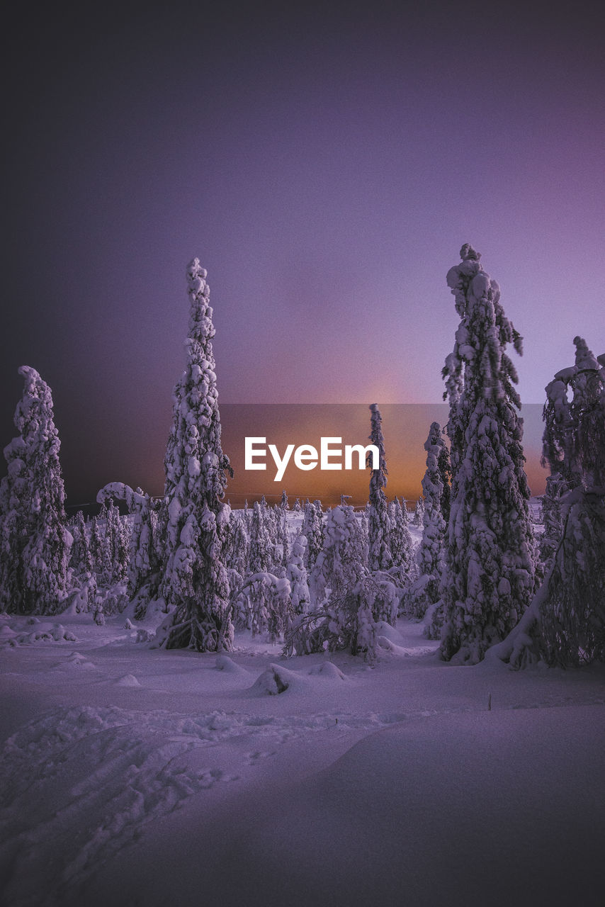 Trees on snow covered mountain against sky at dusk