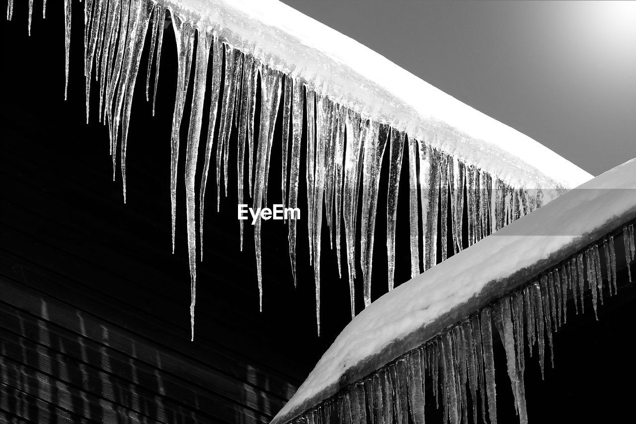 Close-up of icicles
