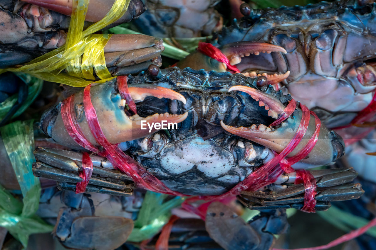 HIGH ANGLE VIEW OF FISH FOR SALE AT MARKET STALL